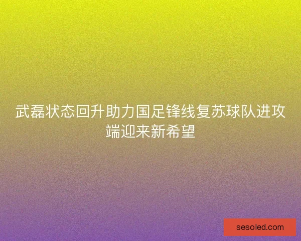 武磊状态回升助力国足锋线复苏球队进攻端迎来新希望